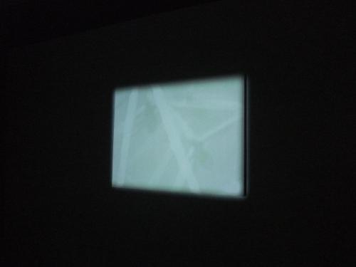 Video Installation Experiment